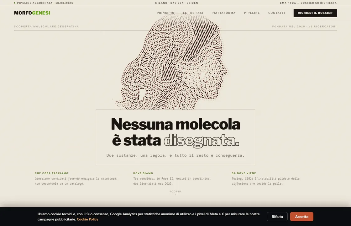MORFOGENESI