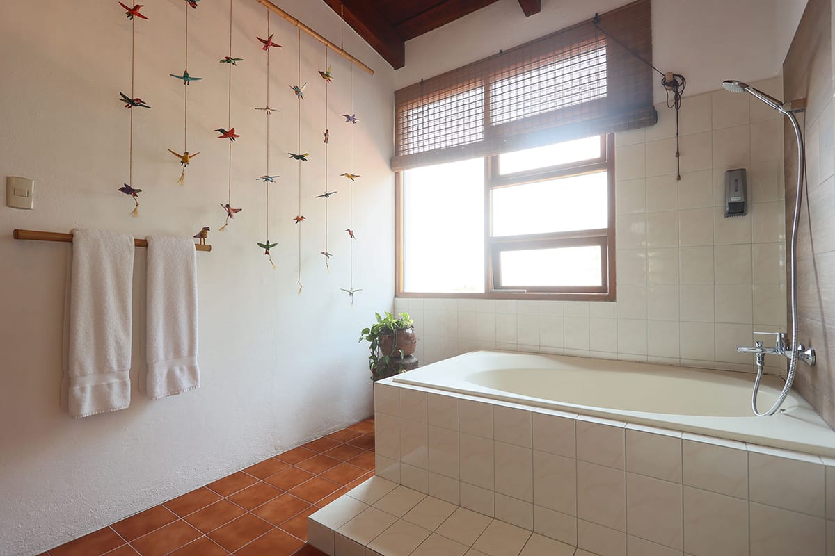 Baño con bañera, pájaros decorativos colgantes
